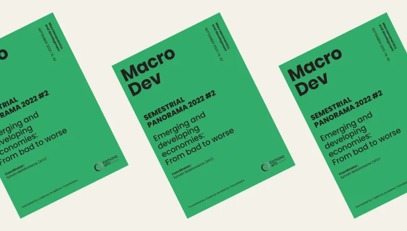 MacroDev Panorama