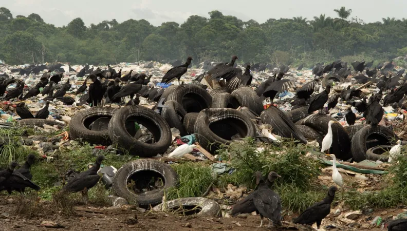 Déchets Suriname