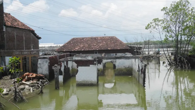 sinking house Jakarta
