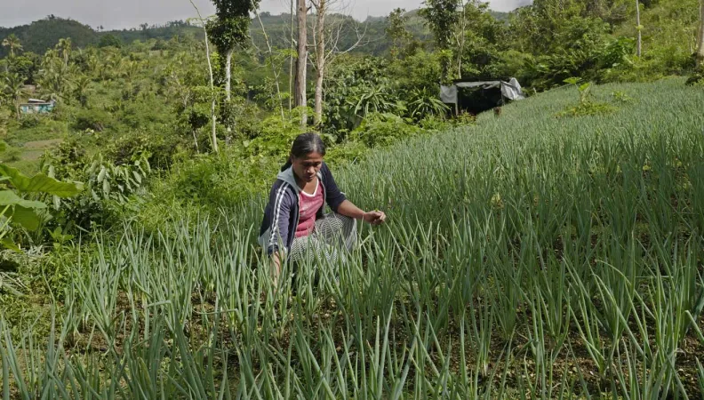 Support for national reform program to combat climate change in the Philippines