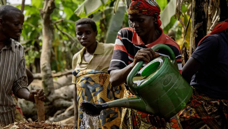 Agriculture Burundi