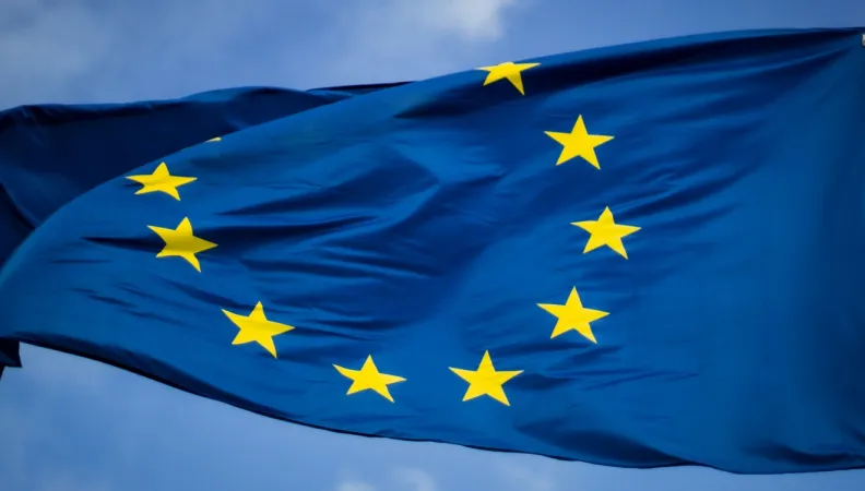 europe AFD election Union