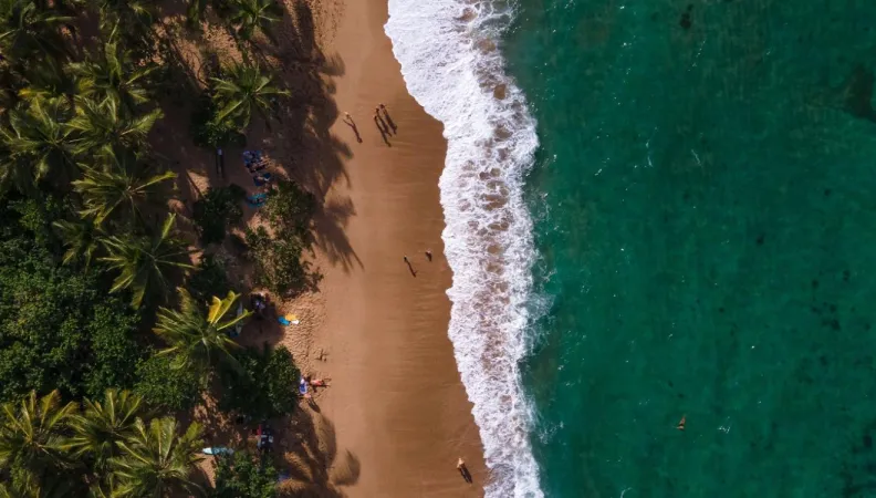 Vue aerienne Martinique plage ocean AFD Outre-mer ile