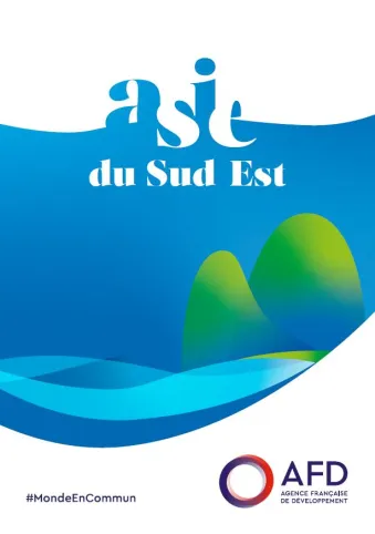 Asie du Sud-Est - Bilan d'activité