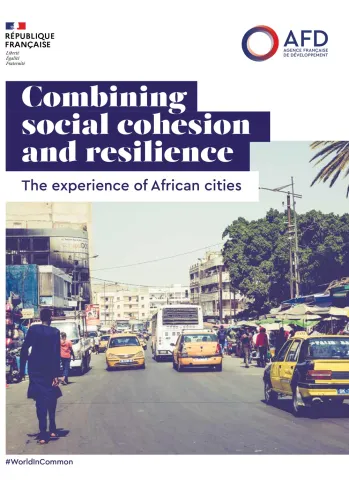 Combining Social Cohesion and Resilience: The Experience of African Cities