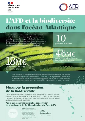 L'AFD et la biodiversité dans l'océan Atlantique