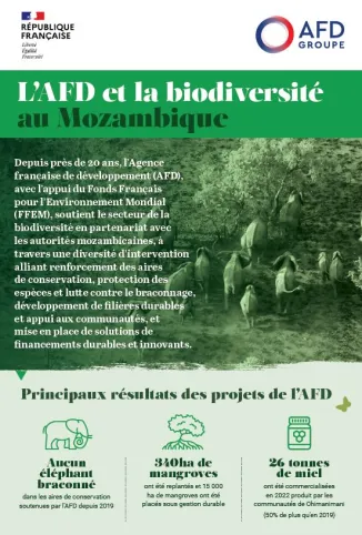 biodiversite mozambique infographie cover