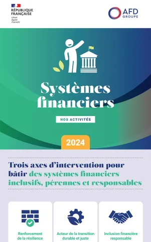 Infographie Systèmes financiers 2024
