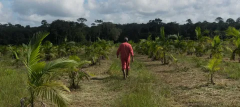 Fr Guyana 3 